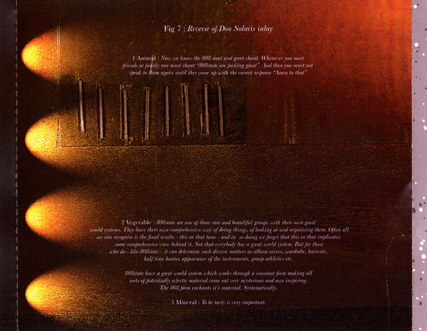 808 State - Don Solaris Element Edition