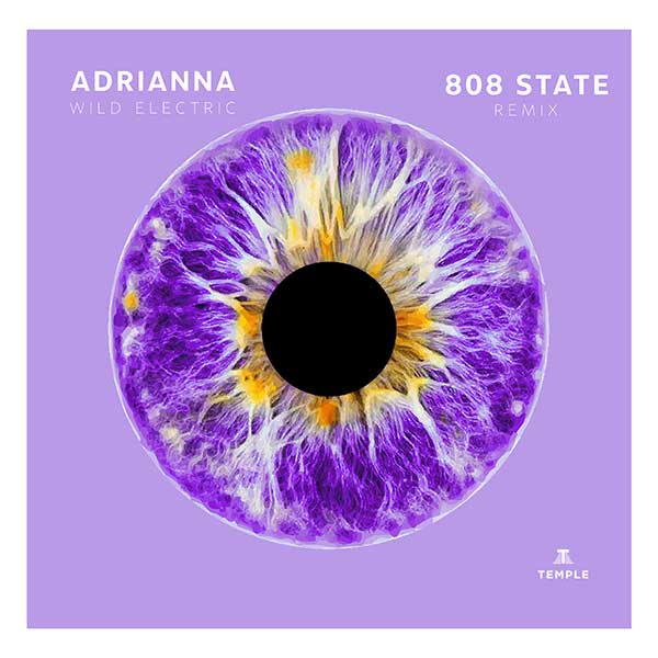 Adrianna - Wild Electric (808 State Remix)
